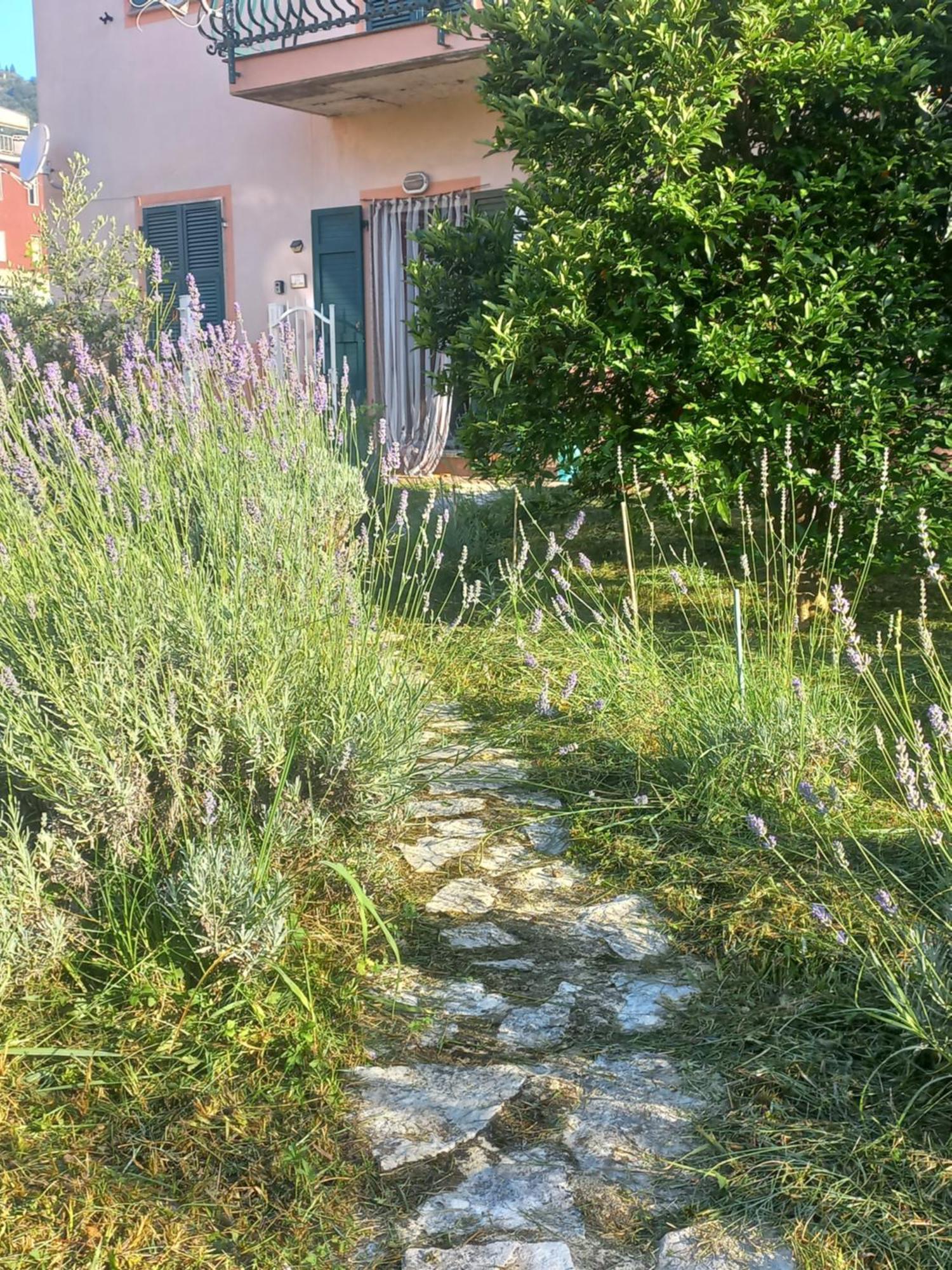 Piano di Follo La Casa Di Ulivi 빌라 외부 사진